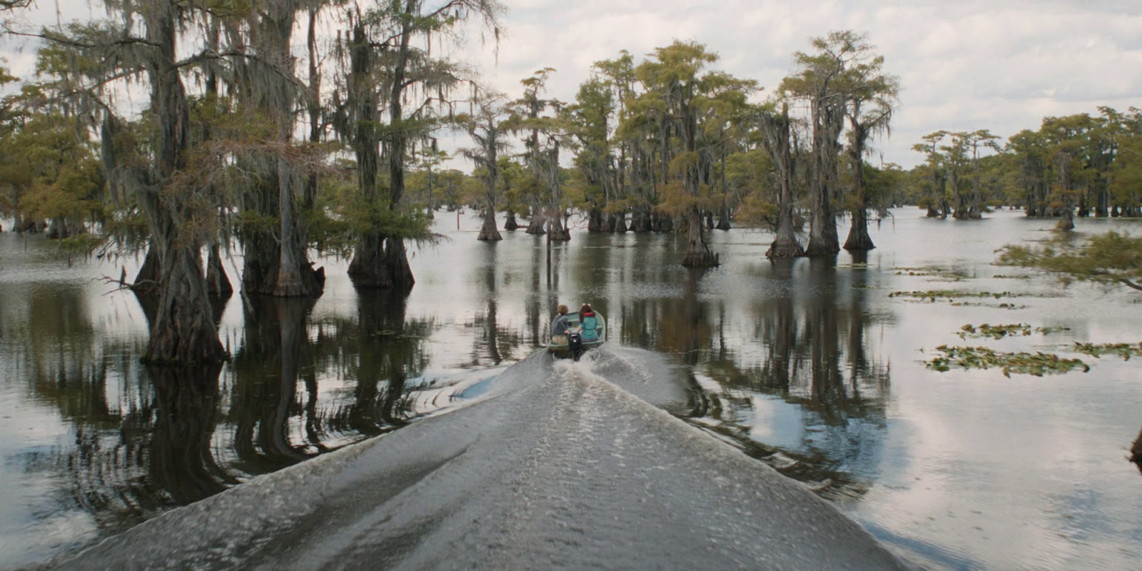 Still from Caddo Lake