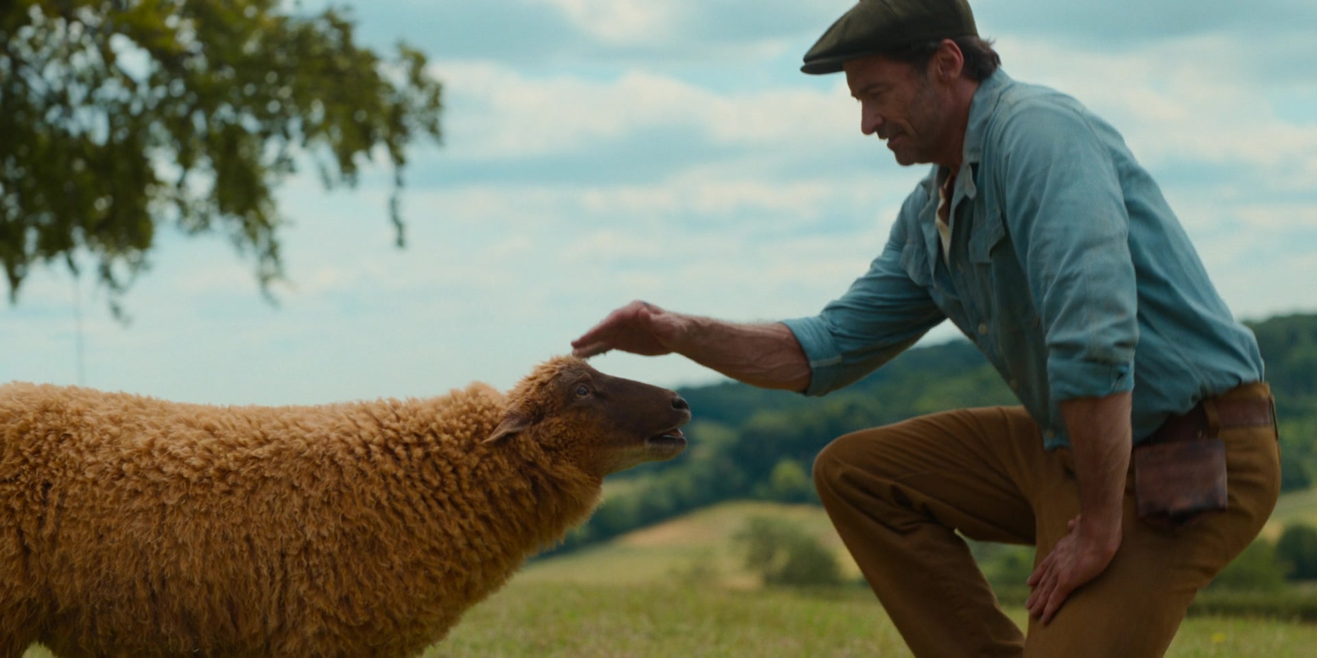 Still from The Sheep Detectives